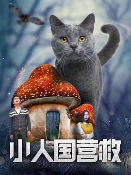 国产一区精品视频
